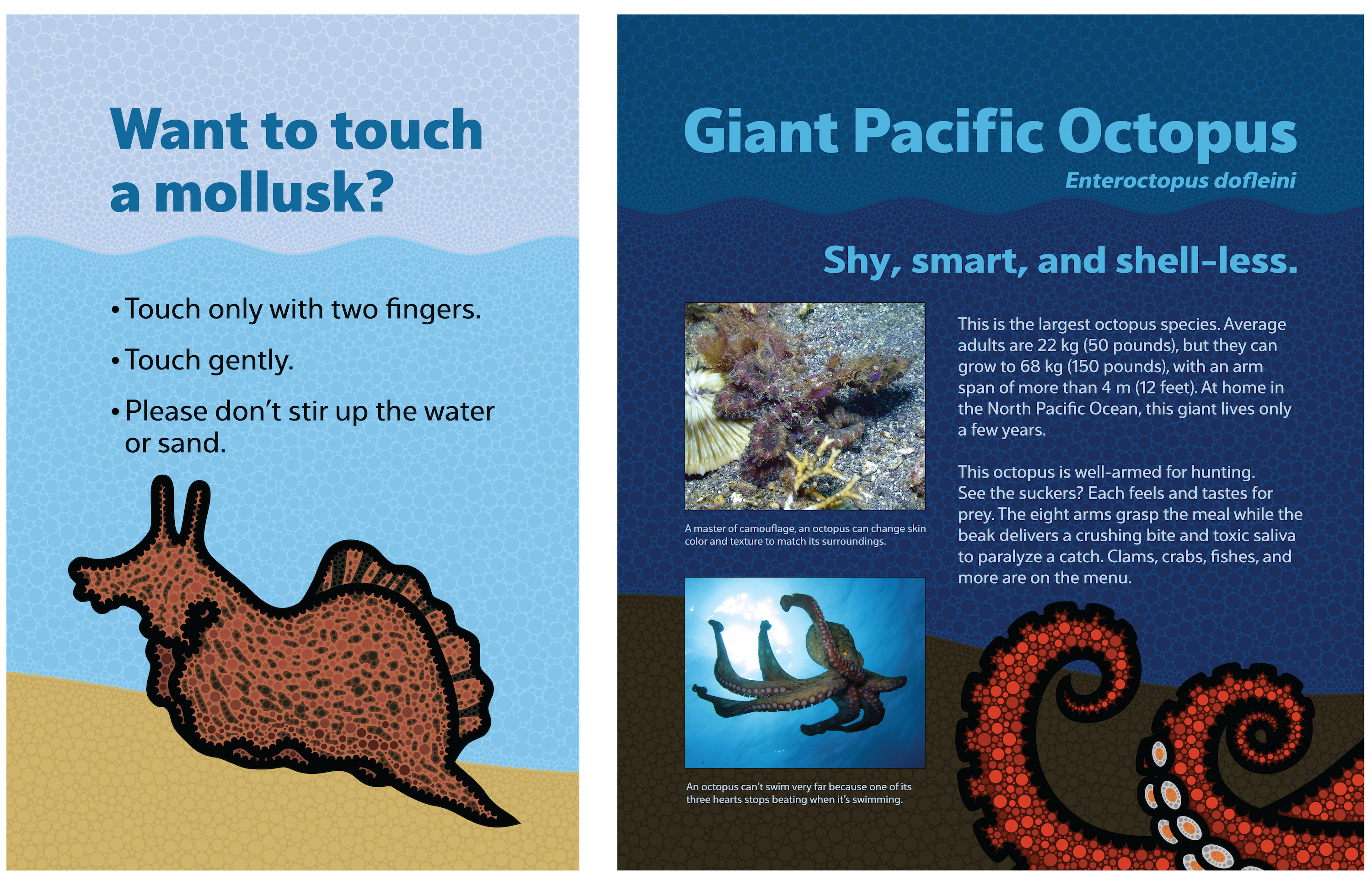 Graphics - Tenji Aquarium Design + Build